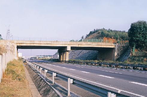 33Lɳh(hun)@ǹ·.jpg